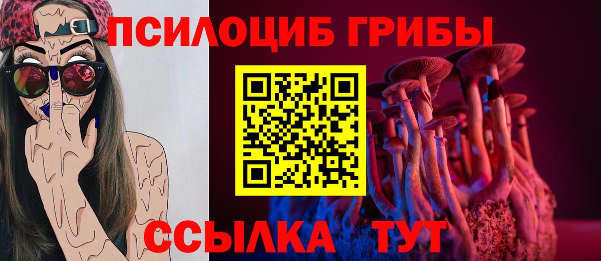 Галлюциногенные грибы прущие грибы Серпухов